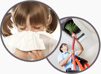 Professional Mold Removal